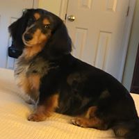 Daniel B. Allyn's profile image