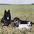 Amanda M Edwards's profile image