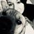 Kristen Lawson's profile image