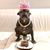 Giorgia Cortesi's profile image