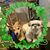 Michelle Mester's profile image