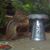 Katie Spurr's profile image
