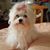 Walter R Robbins's profile image