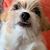 Chi Chiquita's profile image
