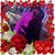 Jessica Picken's profile image