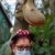 Julie Desourdy Mecherky's profile image
