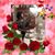 Monica Roberts's profile image