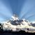 Lynn Engelbretson's profile image