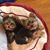 Sharon Perry Winiewicz's profile image
