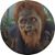 Tony King T Camacho's profile image