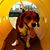 Stephanie Ruiz-Gomez's profile image