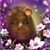 Rhonda Johnson's profile image