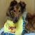 Wendy Gagne's profile image