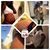Crystal Carrington's profile image