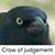 Matt Van Houten McCarty's profile image