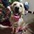 Michelle Wilson's profile image