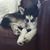 Mary Birtzer's profile image