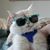 Darryl Robertson's profile image