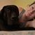 Patricia Holbert's profile image