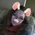 Danielle Lee's profile image