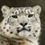 Robert Romberger's profile image