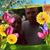 Darlene Pfaff's profile image