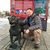 Jason Harris's profile image