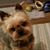 Margaret Weeber's profile image
