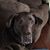 Jeanne Savino-Volk's profile image