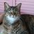 Robin Young's profile image
