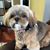 Nancy Iglinski- Leka's profile image
