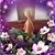 Kathy Gaustad's profile image