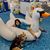 Sara Spencer Sharratt's profile image