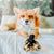 Wendy Janes's profile image