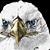 Joan Robinson's profile image