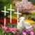 Sandy Sailer's profile image