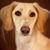 Rasha-Rocket Vreeland's profile image