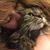 Shelly Ritchie's profile image