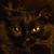 Joseph P Nelson's profile image