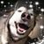 Karen Jones's profile image