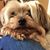 Michele Hewitt Reubin's profile image