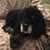 Marianne Larkin's profile image
