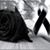 Paulino Mosqueda's profile image