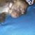 Rene Bagcal's profile image