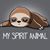 Renee Jacklyn Wolin's profile image