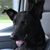 Kenny Wendt's profile image