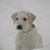 Jo Anne Wiles's profile image