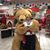 Maria Teresa Liuzzi's profile image
