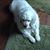 Susan Vaatveit's profile image