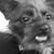 Betsy Fisher's profile image